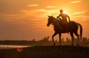 homme assis sur son cheval