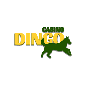 CASINO DINGO