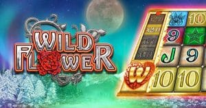 Tout savoir sur Wild Flower de Big Time Gaming !