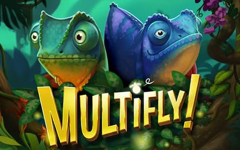 multifly jeu
