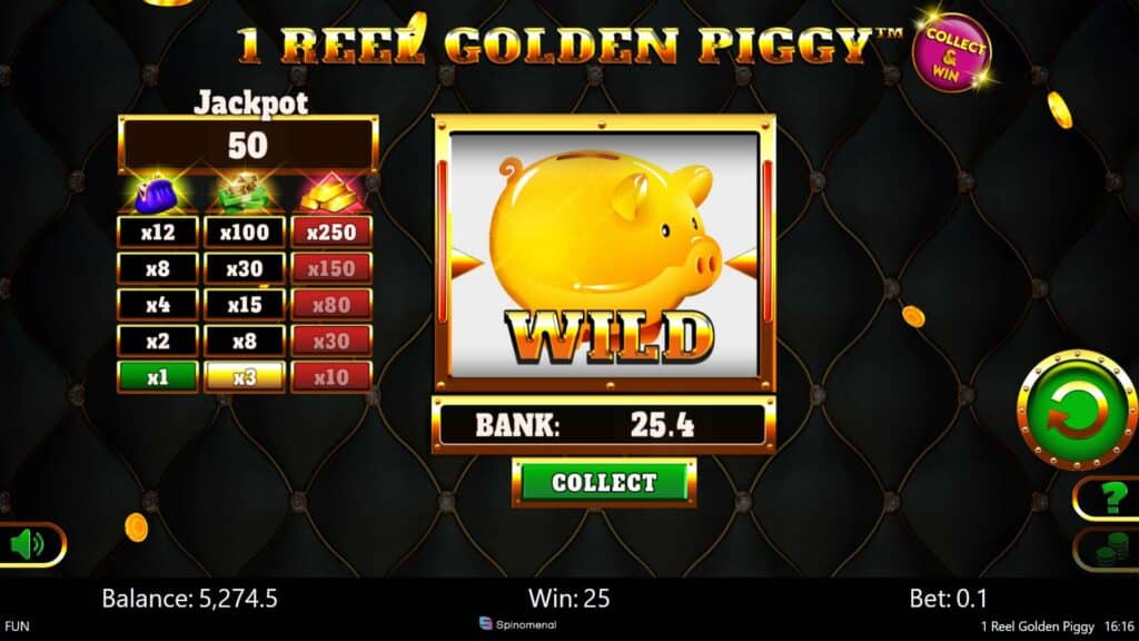 1 Reel Golden Piggy Wild