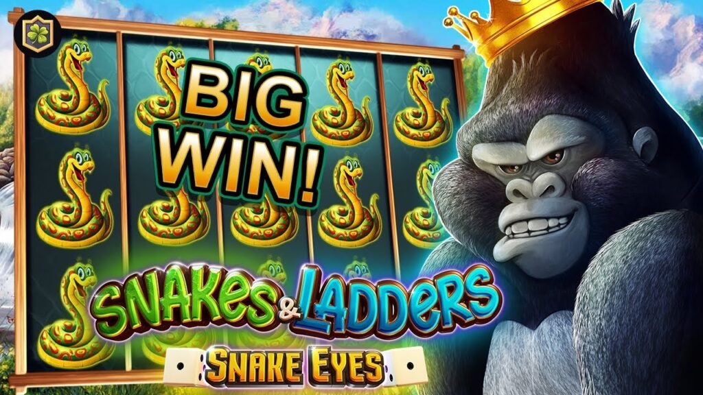 gros gains Snakes & Ladders Snake Eyes